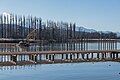 * Nomination Set-up of a new jetty at the lido on Johannes-Brahms-Promenade, Poertschach, Carinthia, Austria --Johann Jaritz 05:15, 20 January 2016 (UTC) * Promotion Good quality. --Jacek Halicki 08:51, 20 January 2016 (UTC)