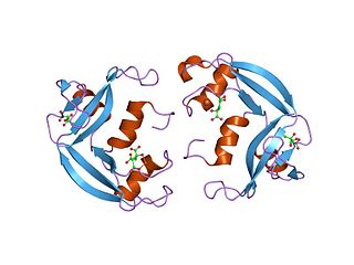 Eosinophil cationic protein Mammalian protein found in Homo sapiens