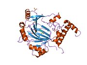 PDB 1h2n EBI.jpg