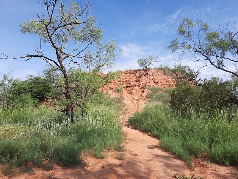 File:Palo Duro Siwek 3.jpg