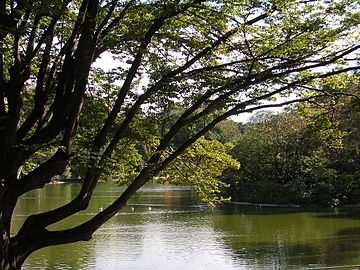 Parc Montsouris le lac.JPG
