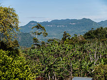 Penas Blancas, part of the Bosawas Biosphere Reserve. Located northeast of the city of Jinotega in Northeastern Nicaragua PenasBlancas, part of the Bosawas Reserve, Jinotega Department, Nicaragua.jpg