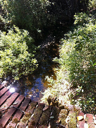 <span class="mw-page-title-main">Laguna Creek (San Mateo County)</span> River in California, United States