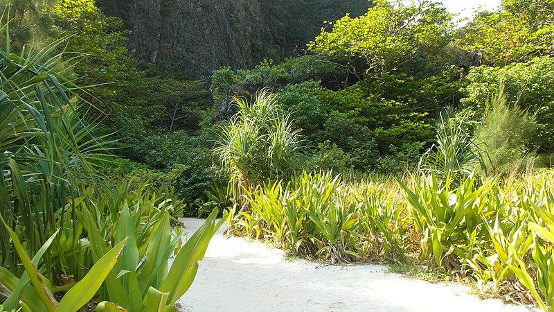 File:Phi-Phi, Maya Bay, 2013 march - panoramio (9).jpg