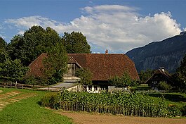 Picswiss BE-91-36 Freilichtmuseum Ballenberg-.jpg