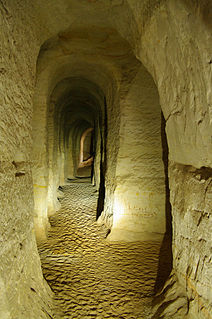 Piusa Caves Nature Reserve Protected area in Estonia