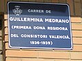 Miniatura para Guillermina Medrano