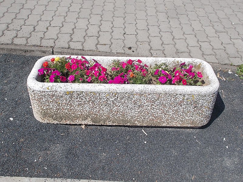 File:Planter, petunias, 2019 Devecser.jpg