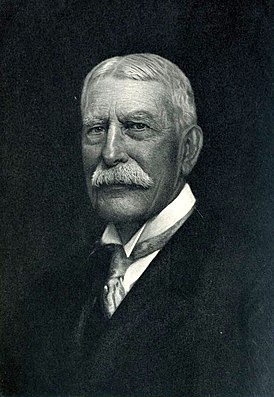 Retrato de Henry Morrison Flagler.jpg