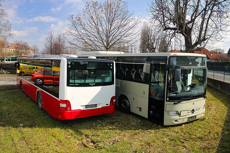 File:Postbusse in der Hohenstaufengasse.jpg