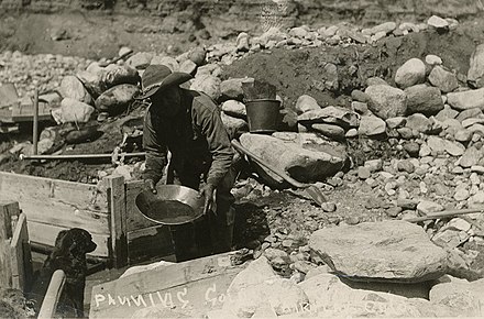Man gold panning in Fairplay, Colorado early 1900s with dog.