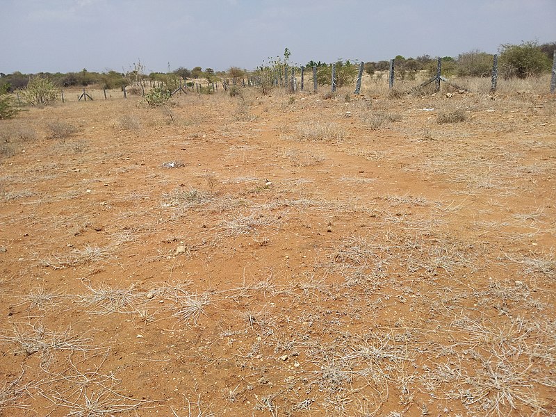 File:Prehistoric site known as pandava graves 01.jpg