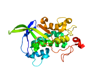 Protein NPC1 PDB 3GKH.png