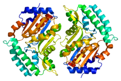 Protein NT5C3 PDB 2bdu.png