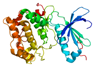 PRKCQ protein-coding gene in the species Homo sapiens