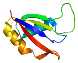 Ақуыз THOC4 PDB 1no8.png