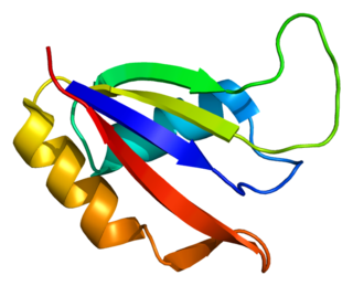 <span class="mw-page-title-main">ALYREF</span> Protein-coding gene in the species Homo sapiens