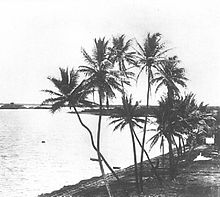 Pearl Harbor in the 1880s.