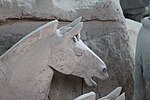 Thumbnail for File:Qin Terracotta Horse Head.jpg