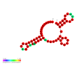 Thumbnail for Cyanobacterial RNA thermometer