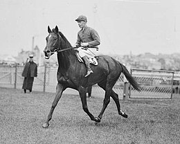 Caballo de carreras Valicare y jockey Jim Munro trotan en la pista, Nueva Gales del Sur, ca.  1926.jpg