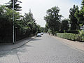 Heinrich-Zille-Straße in Niederlößnitz. Blick nach Westen.