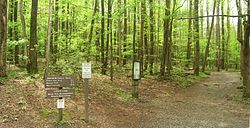 Rainbow Falls Trailhead.JPG 