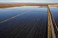 Rice fields along Grainland Road, November 2023