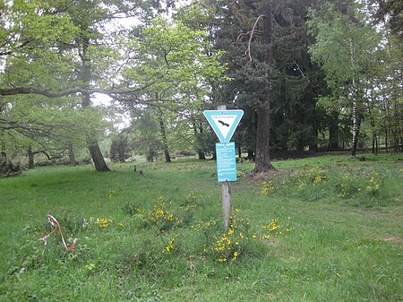 Riedelbacher Heide im Taunus