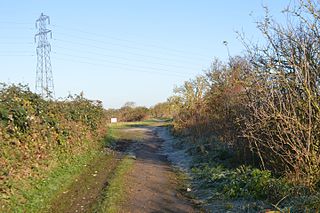 Rings End Local Nature Reserve