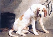 『ヴァンデのグリフォン犬』(1880年代)