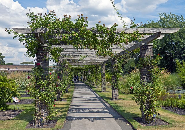 Pergola Wikipedia, Garden Structures For Climbing Vines Crossword