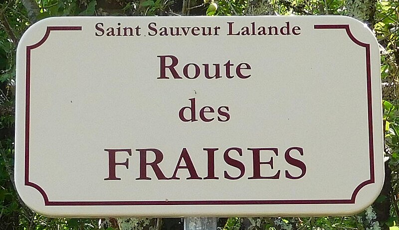 File:Route des Fraises, panneau.jpg