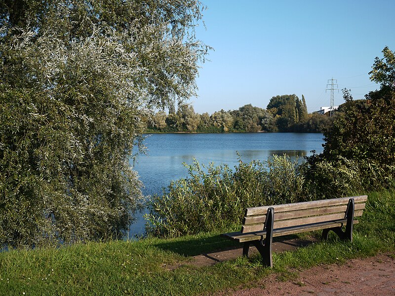 File:Südpark Düsseldorf Deichsee Bank.jpg