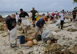 Sailors clean a beach in Diego Garcia..jpg