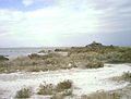 Alkali flats from the South shore