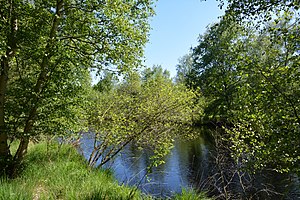 Schleswig-Holstein, Tellingstedt, Landschaftsschutzgebiet Großes Moor Kätner Moor NIK 7031.jpg