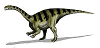 Miniatura para Plateosaurus gracilis