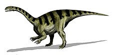 מודל של Plateosaurus gracilis