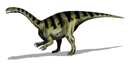 Tập tin:Sellosaurus.jpg