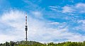 English: Broadcast tower Waldenburg-Friedrichsberg (2017) Deutsch: Sendeturm Waldenburg-Friedrichsberg (2017)