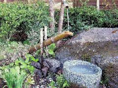A shishi-odoshi is garden device, made of bamboo and wood, designed to scare away birds. As the bamboo tube fills with water, it clacks against a stone, empties, then fills with water again.