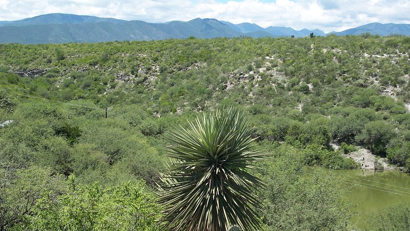 File:Sierra Madre Oriental - La Independencia Jaumave, Tam.jpg