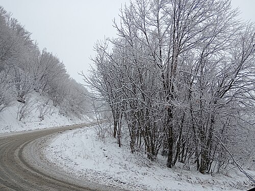 Snow in Monte Cimone