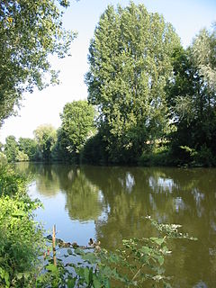 Somme (river) river in Picardy, France