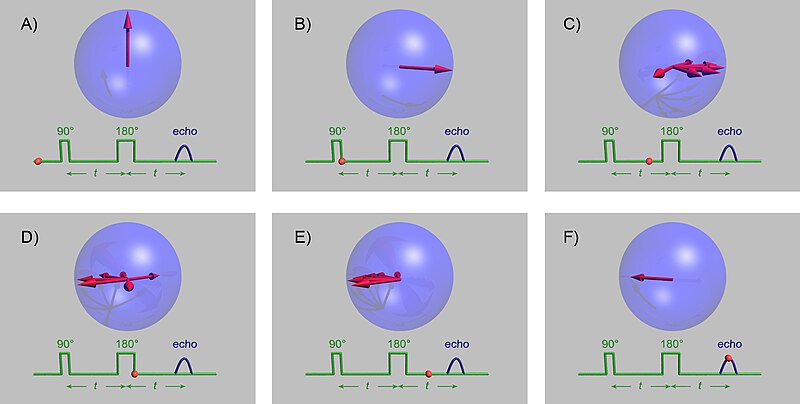 The spin echo sequence