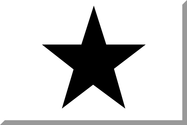 File:Sports flag icons - White with black star.svg