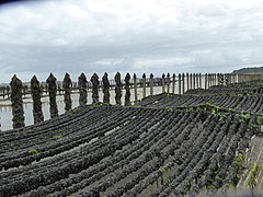 Saint-Cast-le-Guildo de la côte d'Émeraude en Bretagne