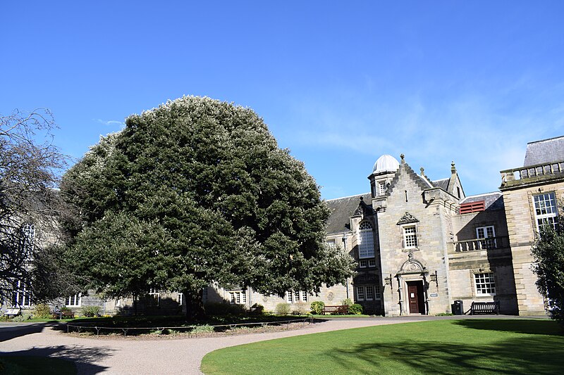 File:St Mary's Quad, St Andrews - geograph.org.uk - 5484398.jpg