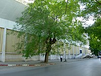 Stade Chedly Zouten.jpg